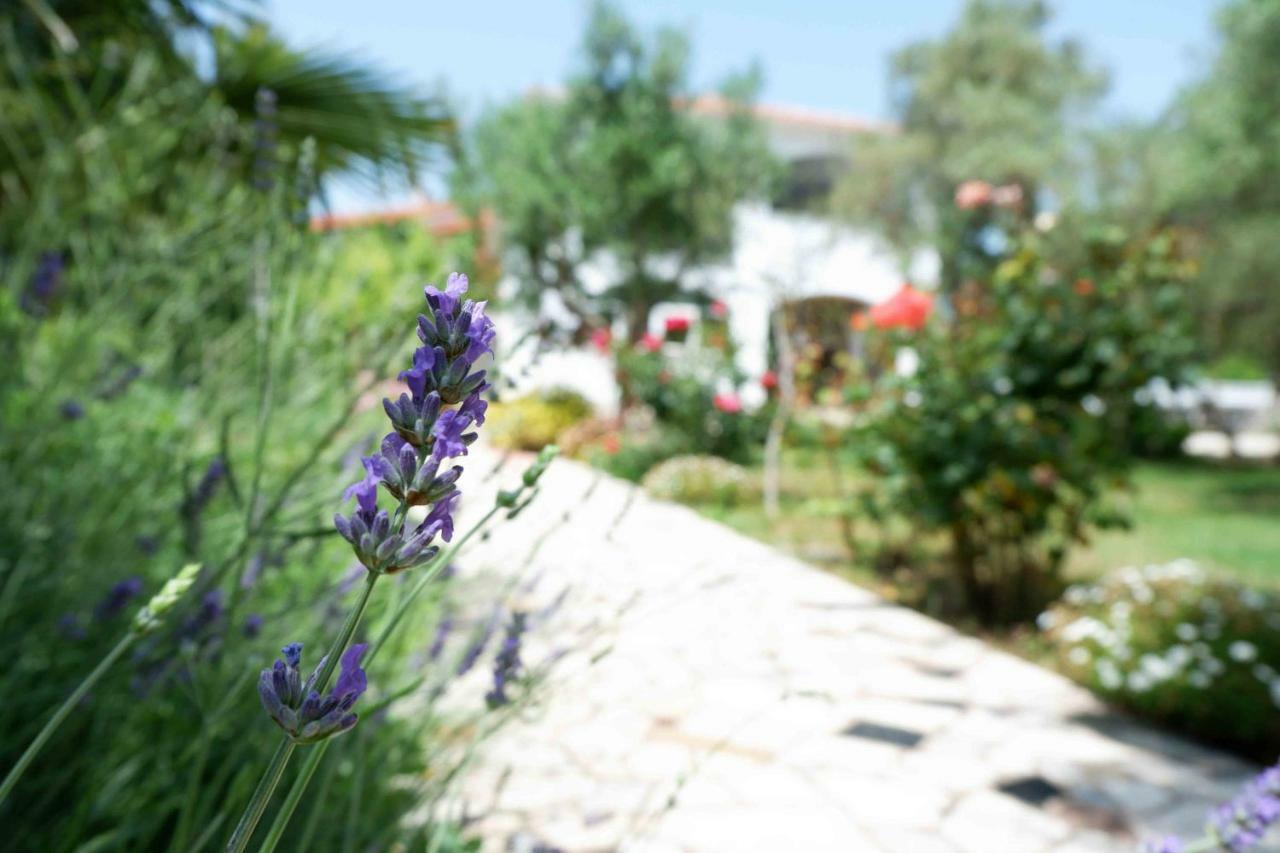 Apartment Ponos Krk Town Luaran gambar